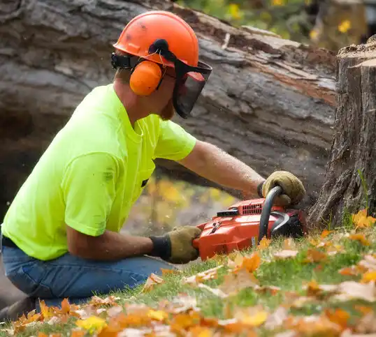 tree services Lafourche Crossing